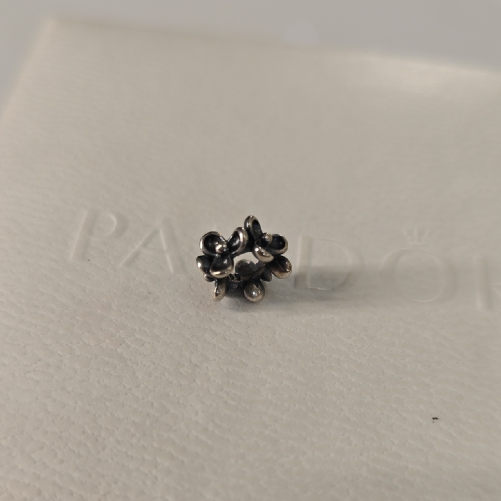 Authentic Pandora Vintage Spacer